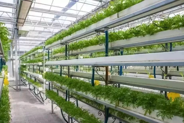 智慧農業(yè) 智慧農業(yè)