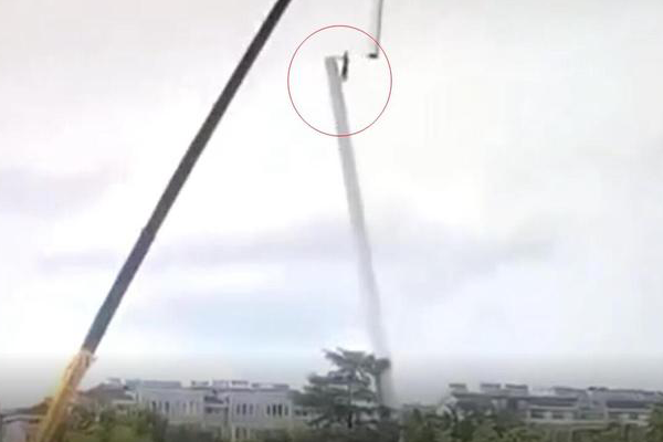 悲??！工人高空作業(yè)，通訊塔竟成“亡命塔”