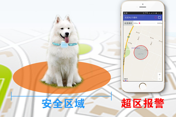 價(jià)值28萬(wàn)純血馬在麗江